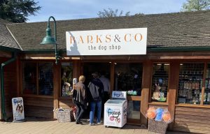 barksandcoheader
