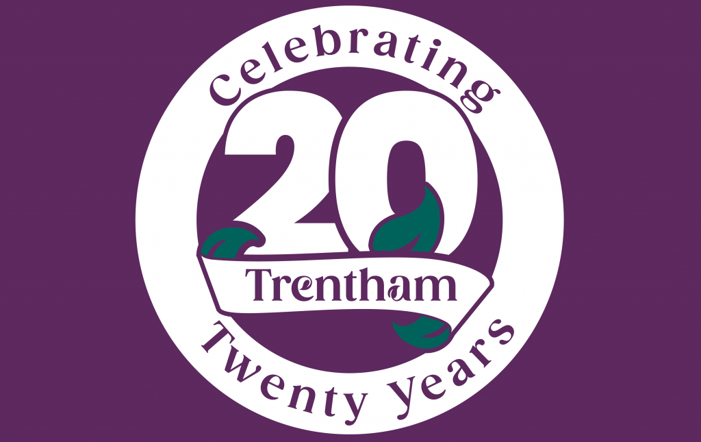 Anniversary Logo - T20