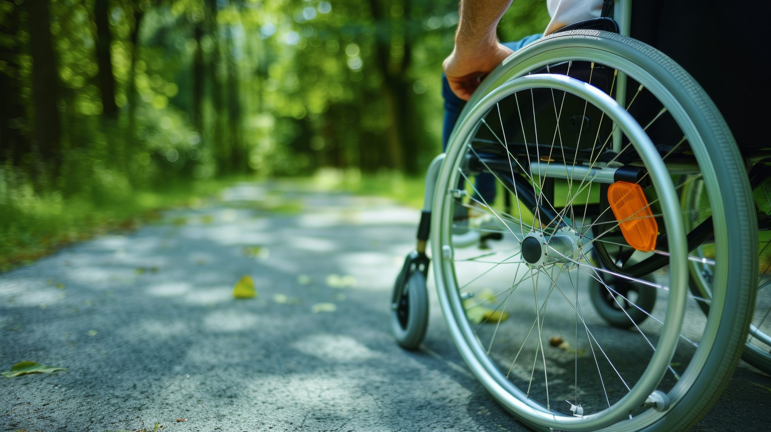 The person in wheelchair