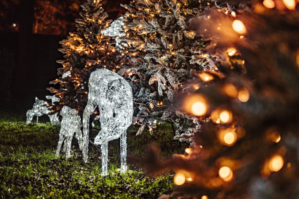 Trentham Winter Light Trail