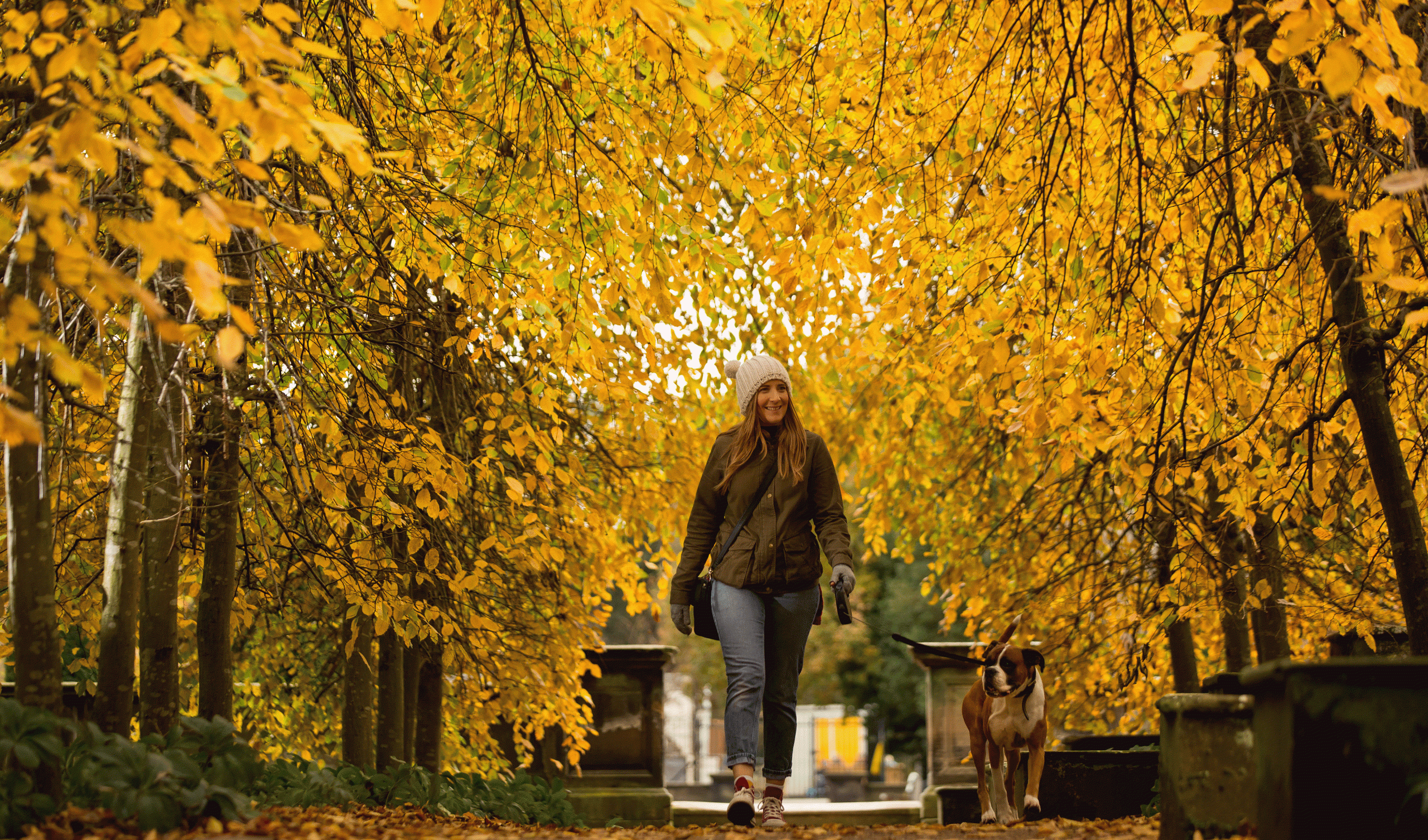 autum - nature - leaves - people - dog (2) (3)