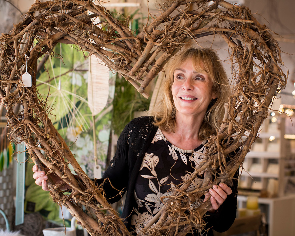 Willow Shopping Village (1)