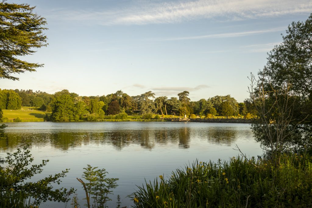 Discover beauty and nature on your lakeside walk