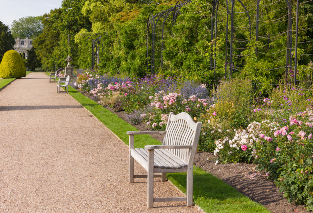 DavidAustinRoseBorder