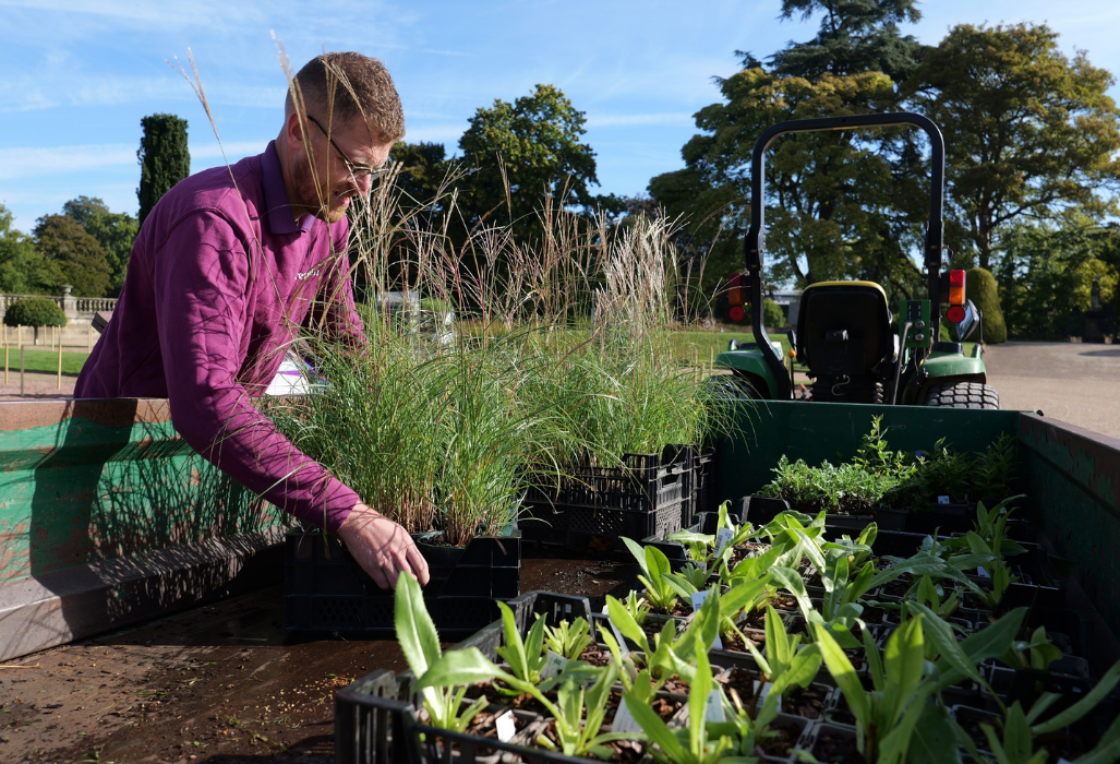 ItalianGardenPlanting