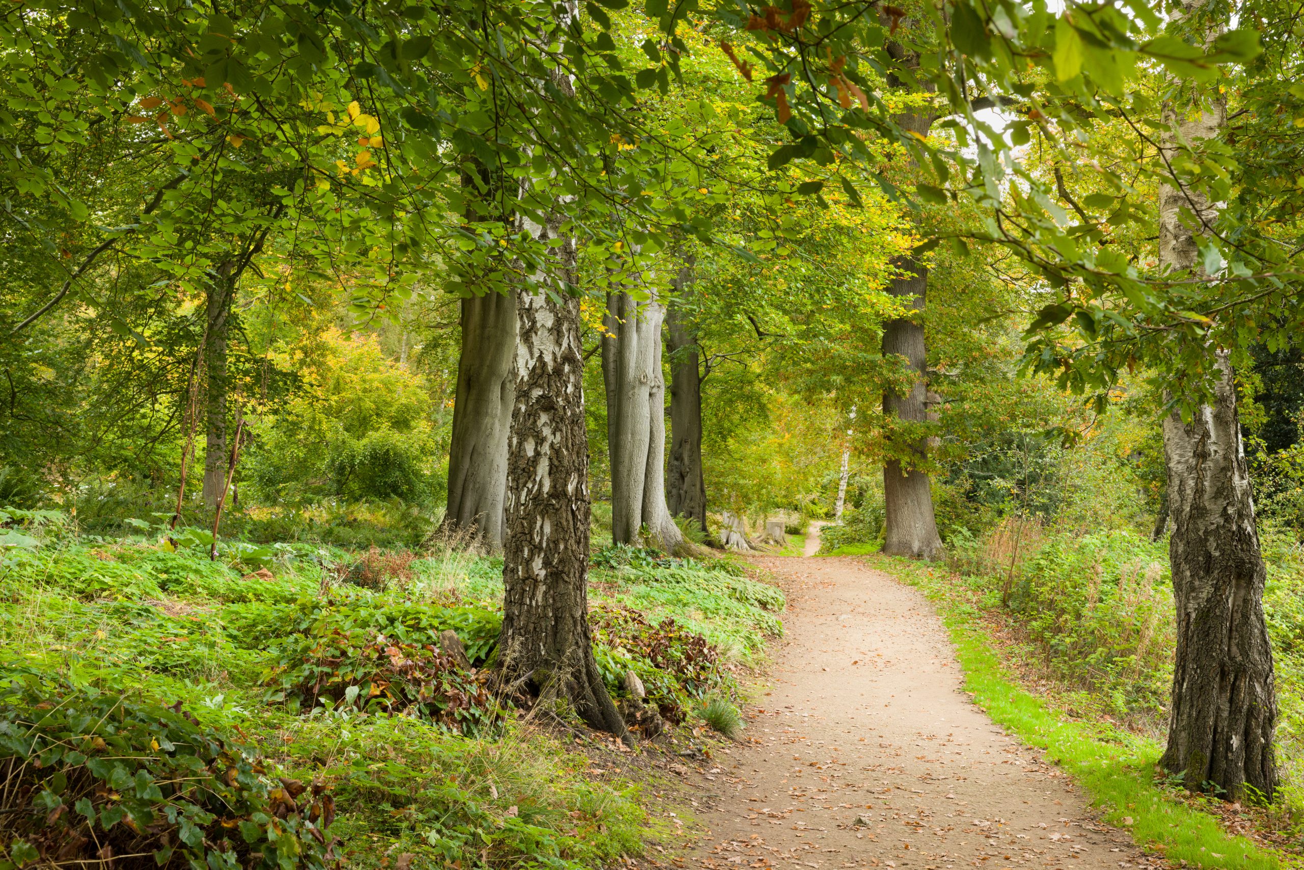 Trentham Gardens Autumn 2025-91 (1)
