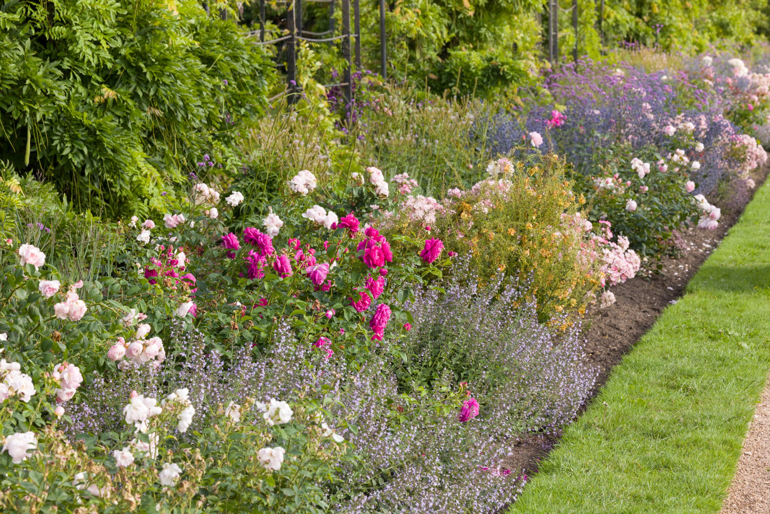 Trentham Gardens Summer 2025 - Photographed by Joe Wainwright