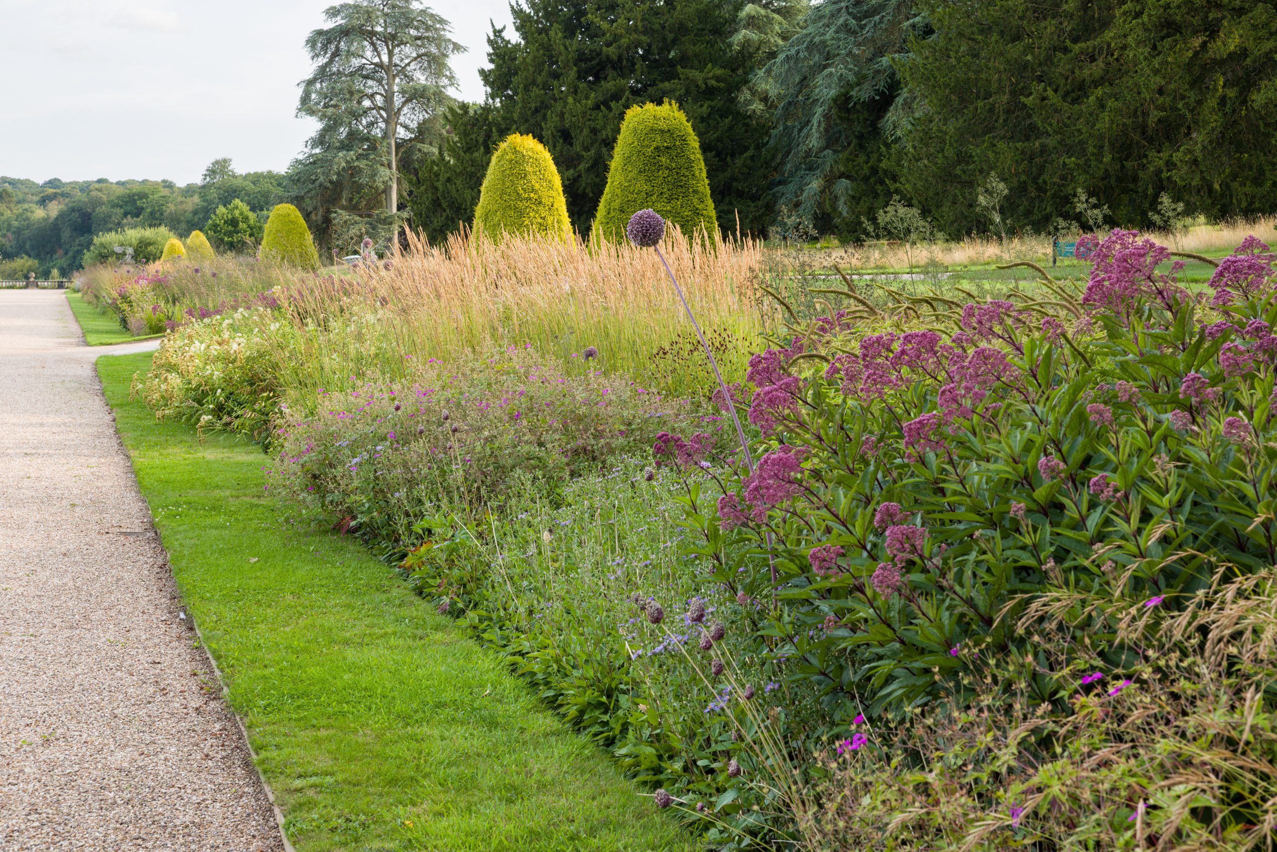 Trentham Gardens Summer 2025 - Photographed by Joe Wainwright