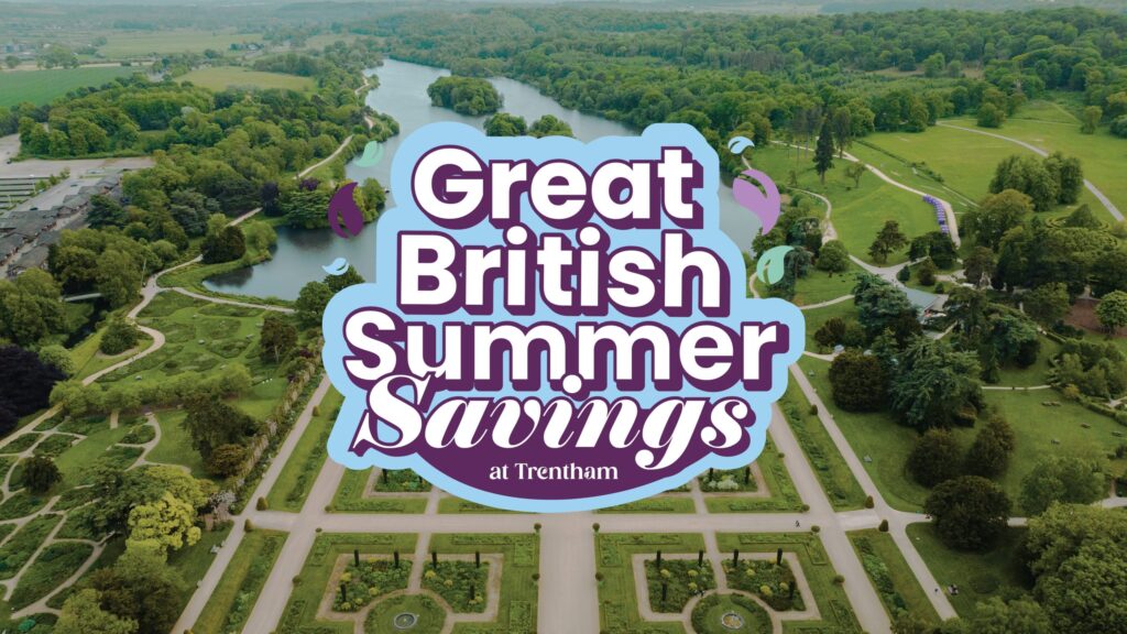 0172_2026_Great British Summer Saving_Concept V1a HI RES